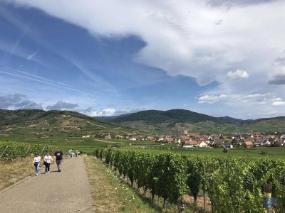Mini-rallye - Découverte du vignoble