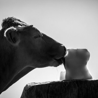 "Genèse d'une Œuvre" : Exposition de photographies à "L'Arôme"