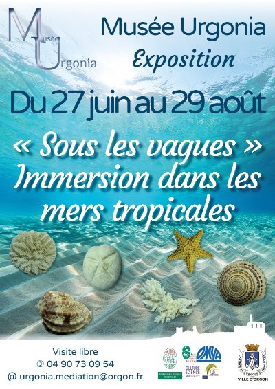 Exposition « Sous les vagues » - Immersion dans les mers tropicales