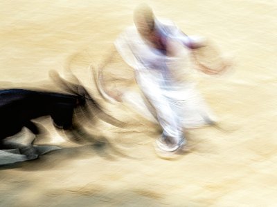 Exposition - Une danse dans l'arène