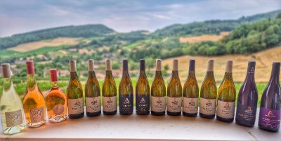 De la vigne au verre, découvrez les secrets de nos vins