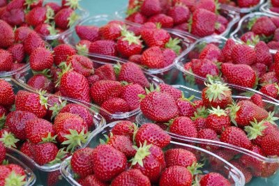 Marché de Producteurs - Savigny-Lévescault