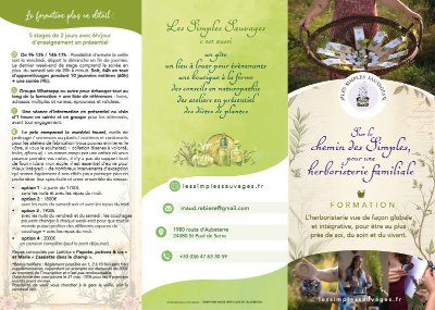 Découverte des plantes médicinales