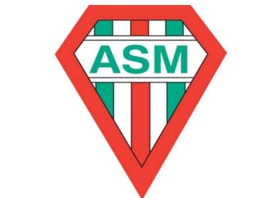 Vide-greniers de l'ASM XV