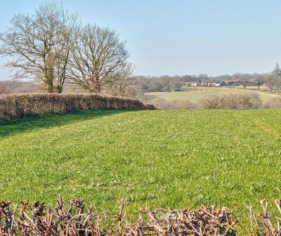 Balade nature "Le bocage dévoilé : nature préservée et géologie" à Luchapt