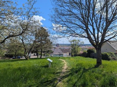 Sentier floristique
