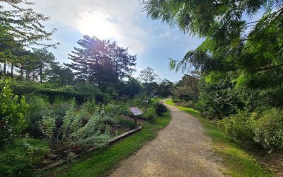 Visite guidée du Jardin botanique