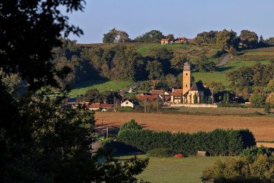 Fêtes locales