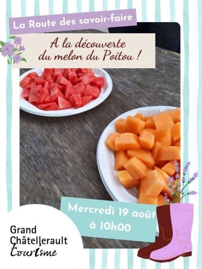 À la découverte du melon du Poitou