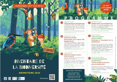Nuit de la chauve-souris : projection et balade nocturne
