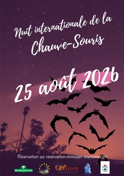 Annulé - La Nuit Internationale de la Chauve Souris