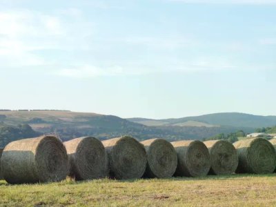 Rencontre : "Réchauffement climatique : comment la forêt va t-elle s'adapter ?", à Aubrac