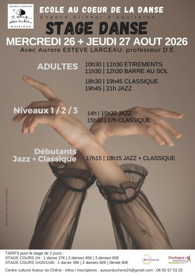 Stage de Danse
