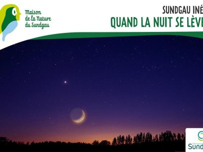 Quand la nuit se lève