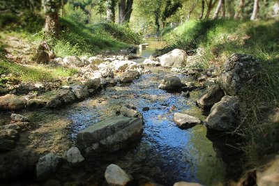 Les Sources des Nayes