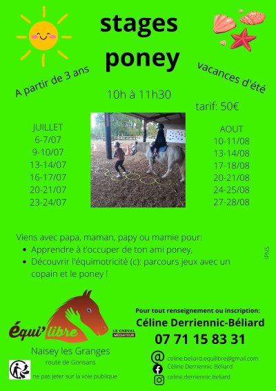 stages poneys et découverte de l'équimotricité(c)