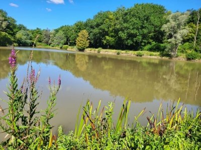 Etang de pêche - La Chênaie