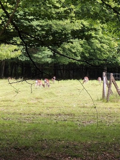 Parc de la Sauline