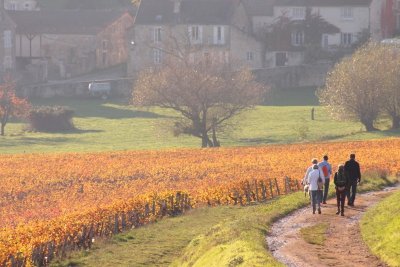 Le Grand Tour du Chalonnais à pied : Etape Mercurey à Givry