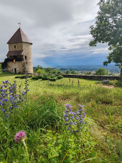 Visites guidées  - portes ouvertes au Château de Chevreaux
