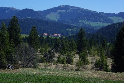 Sentier des Bornes