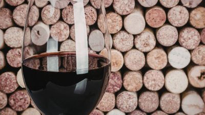 Les Marronniers : Soirée Gypsy