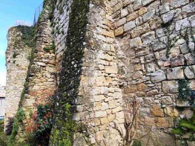 Visite guidée : Les remparts de La Réole
