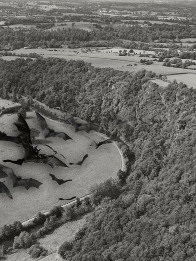 Nuit internationale de la chauve-souris aux Roches de Ham