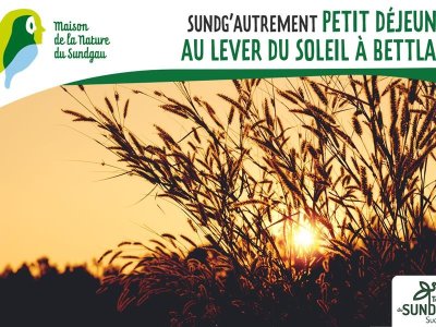 Petit-déjeuner au lever du soleil à Bettlach