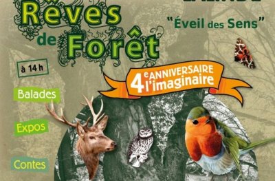 Fest'imagin