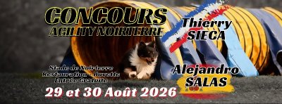 Concours d'agility