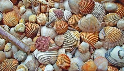 Atelier créatif : perles à repasser