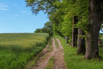 Les Hauts d'Oradour