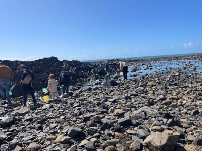 Découverte de la pêche à pied