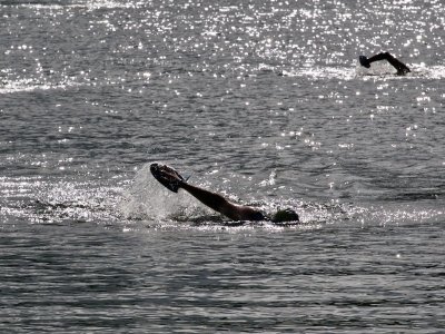 SWIMRUN DE LA MONTAGNE NOIRE - 2ÈME ÉDITION