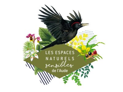ENS - LES AILES DE LA NUIT