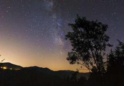 UN ÉTÉ AVEC LE PARC : LA NUIT VOUS VA SI BIEN !