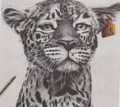 EXPOSITION : TOUT AU BIC