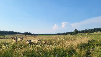Le Menhir de Pierrefiche