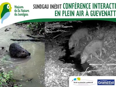 Conférence interactive en plein air à Guevenhatten