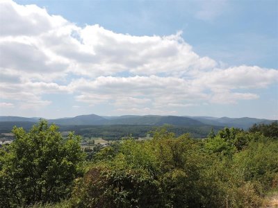 Découvrir la colline du Schiebenberg et la tuilerie Sonntag
