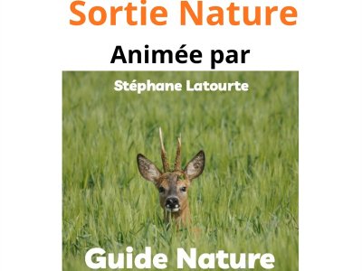 Sortie nature