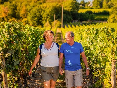 Vignes, Vins, Randos à Bourgueil !