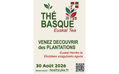 À la découverte des producteurs de thé basques