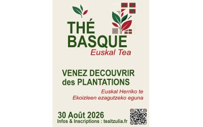 À la découverte des producteurs de thé basque à Macaye