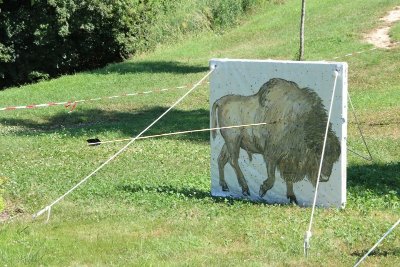 ANIMATION TIR AU PROPULSEUR