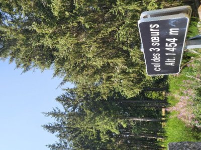 Circuit des bois
