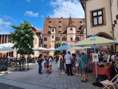 Accueil des touristes