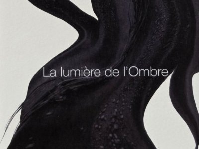 LA LUMIÈRE DE L'OMBRE (MATIÈRES NOIRES)