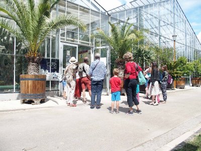 Visite guidée des serres de collection tropicales
